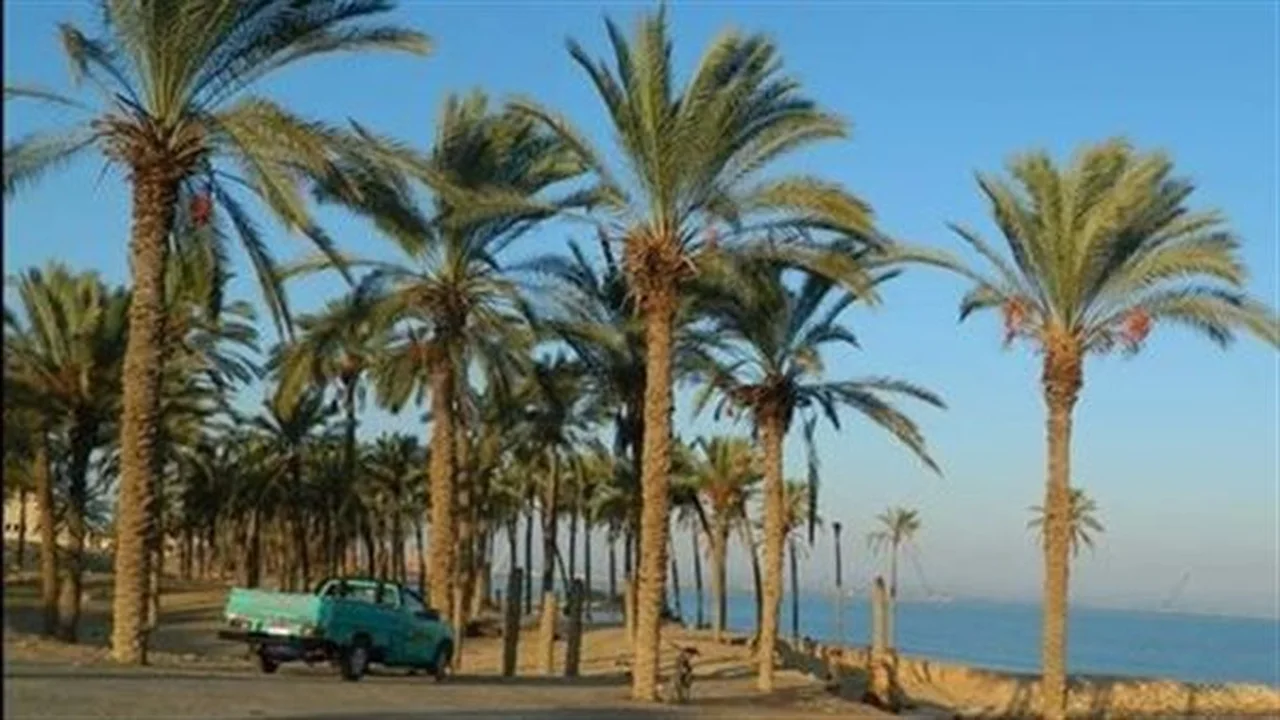 توقعات الحرارة اليوم.. استعدوا لارتفاع طفيف في شمال سيناء والعظمى تسجل 25 درجة